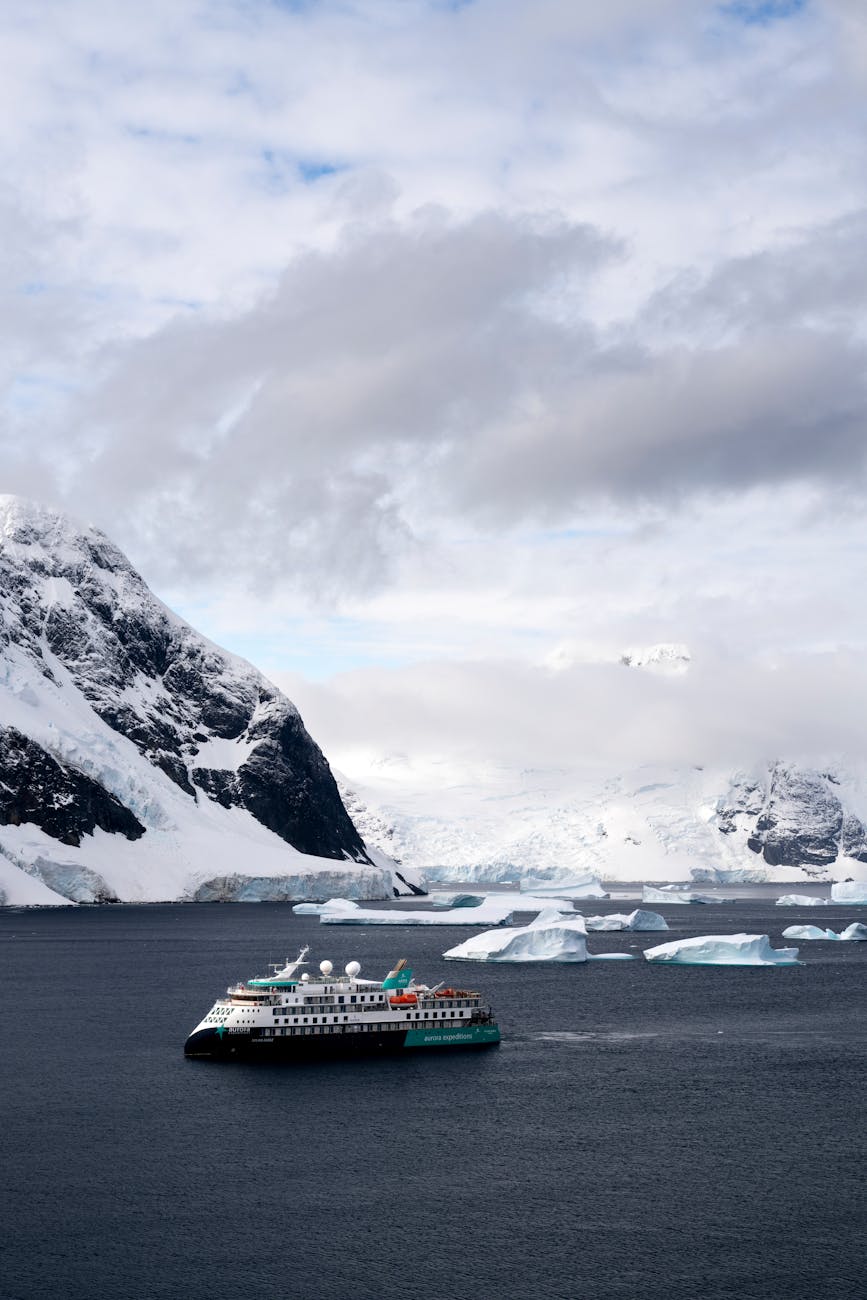 Antarctic cruise ship among icebergs