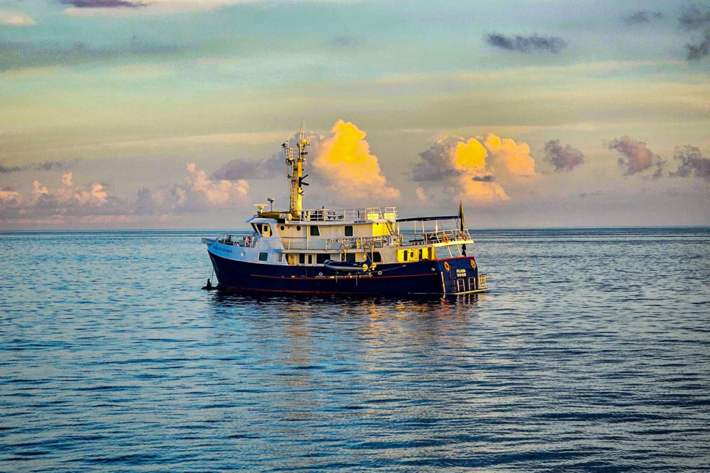 Discover Galapagos on Cachalote Explorer